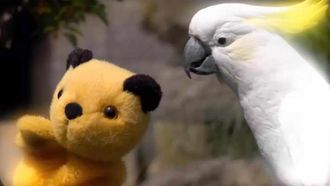 Episode 18 Who's a Clever Bird?