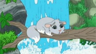 Episode 3 Chinta the Baby Chinchilla