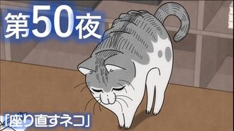 Episode 50 Night 50: A Cat Makes Itself Comfortable