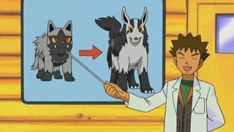 Episode 11 A Bite to Remember