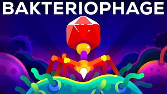 Episode 7 The Deadliest Being on Planet Earth — The Bacteriophage