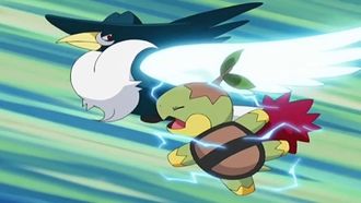 Episode 48 Yosuga Gym Match! Vs Melissa!!