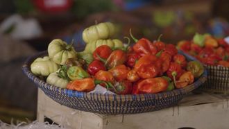 Episode 8 Senegal
