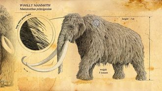 Episode 3 Last of the Giants