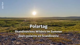 Episode 1 Polar Day