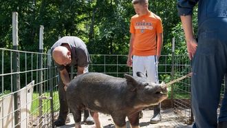 Episode 3 My Fair Piggy