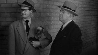 Episode 5 The Monkey Mystery