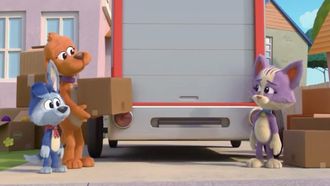 Episode 8 The Pawston Chewbilee/Don't Go, Cat. Go!