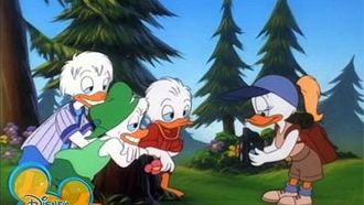 Episode 25 Ducks by Nature