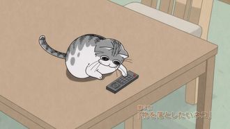 Episode 3 A cat that tends to drop things