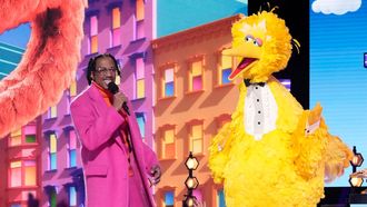 Episode 5 Sesame Street Night