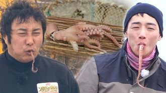 Episode 444 Survival Perfectionist EP 2