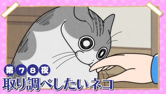 Episode 78 Night 78: The Cat Who Wants to Interrogate