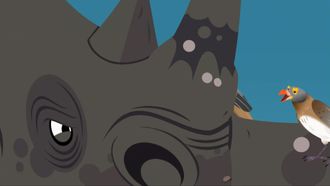 Episode 18 Let the Rhinos Roll!