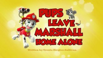 Episode 21 Pups Save Walinda/Pups Save a Big Bone