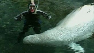 Episode 3 Marine Mammals
