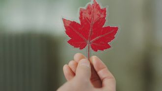 Episode 4 I Won't Leave You