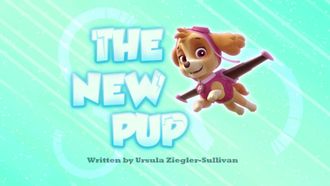 Episode 14 Pups Save an Elephant Family/Pups and the Mischievous Kittens