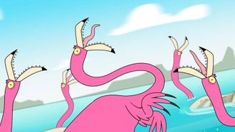 Episode 1 Needs, Rights and Flamingo Fights
