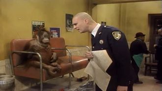 Episode 19 Monkey Business