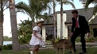 Episode 19 Skippy and the Millionairess