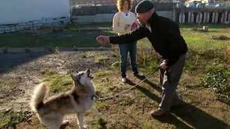 Episode 5 Dog Myths
