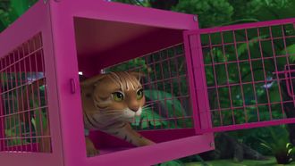 Episode 17 Mission: Rusty Spotted Cat Rescue