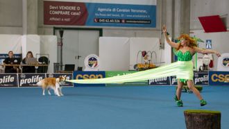 Episode 5 Dog Dancing