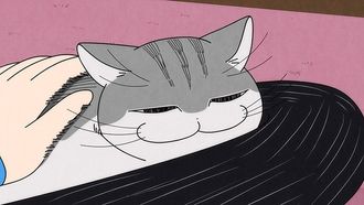 Episode 19 The cat comes to sit on my legs
