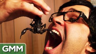 Episode 58 Eating a Scorpion - Bug War Challenge