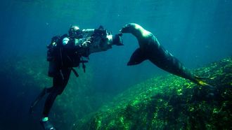 Episode 1 Sea of Cortez