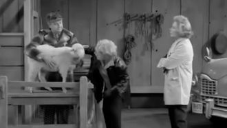 Episode 5 Lucy Buys a Sheep