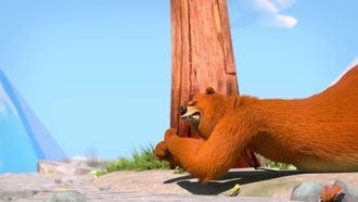 Episode 37 Bear Gliding