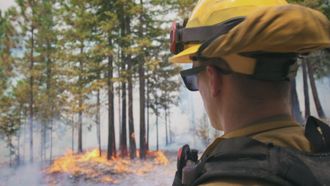 Episode 5 Napa Burning