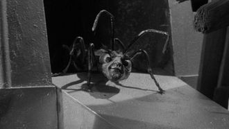 Episode 14 The Zanti Misfits