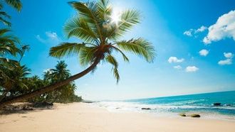 Episode 2 Caribbean: The Wild Side of Paradise