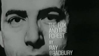 Episode 8 The Fox and the Forest