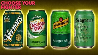 Episode 22 Which Ginger Ale Is The Definitive Ginger Ale?