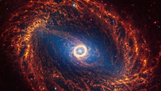 Episode 8 Decoding the Universe: Cosmos