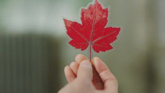 Episode 4 I Won't Leave You