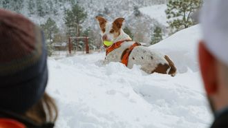 Episode 1 Ski Pawtrol