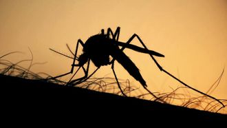 Episode 5 Can We Outsmart Disease?