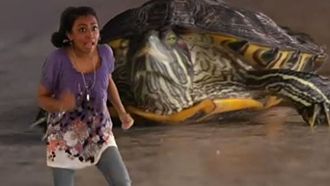 Episode 9 How to Get a Pet