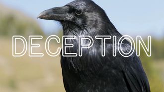 Episode 6 Can Animals be Deceptive?