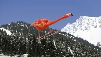 Episode 1 Ski jumping