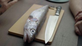 Episode 6 La Mer