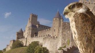 Episode 2 Carcassone: The Realm of the Owl
