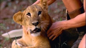 Episode 9 Heart Like a Lion