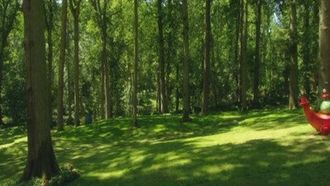 Episode 64 The Pontipines' Picnic