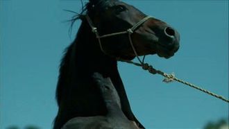 Episode 2 Horse Power Revolution